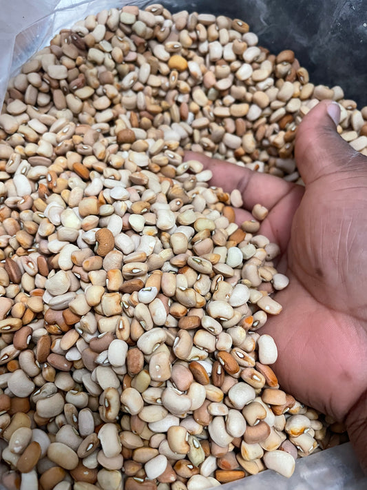 Honey Beans/ewa oloyin/10lbs