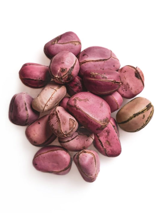 Kolanut Obi abata/6pcs