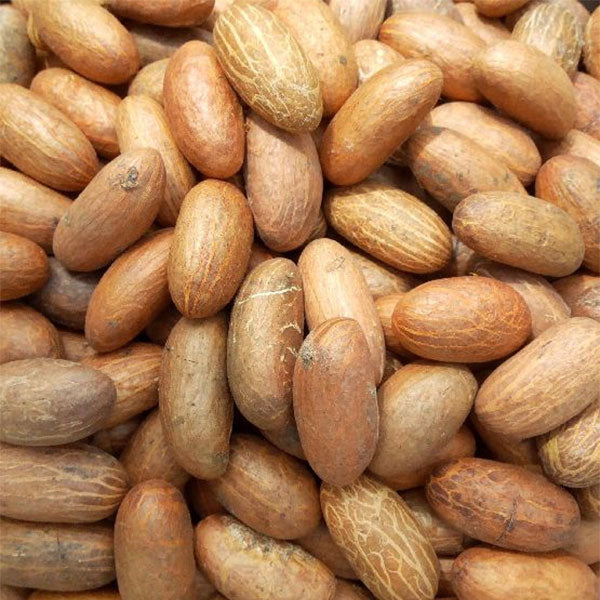 Bitter Kola/Kolanut/Orogbo/8 nuts