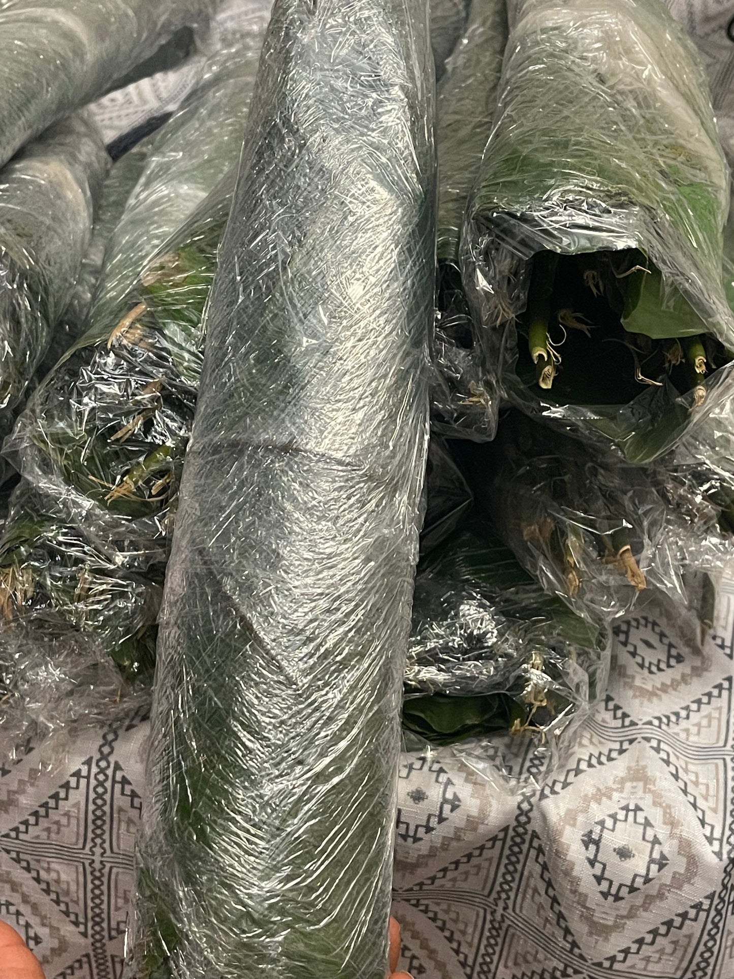 Fresh moimoi Leaves/15 wraps