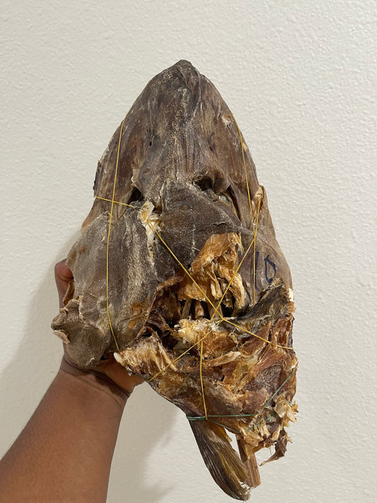 Stock fish Head