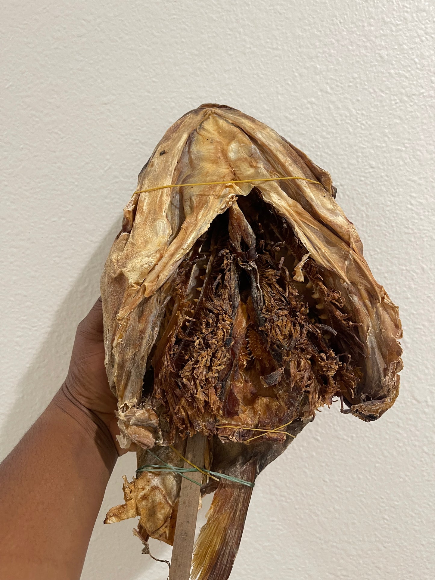 Stock fish Head