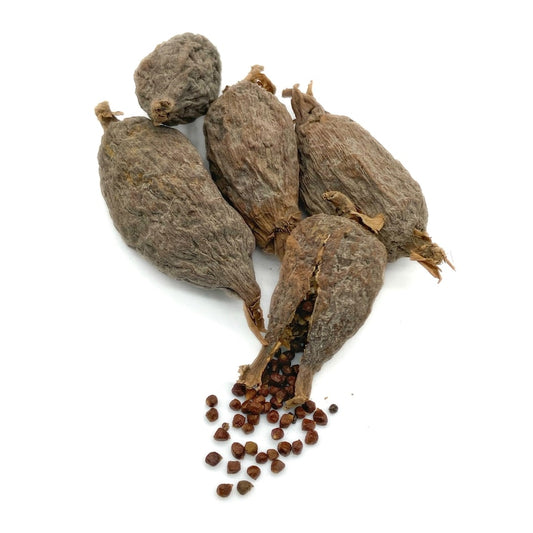 Aligator pepper /African Atare/5 pods