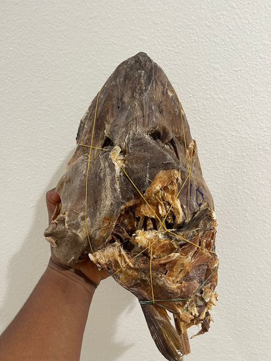 Stock fish Head